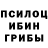 Галлюциногенные грибы Psilocybe gravitydaddy