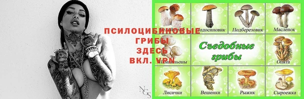 первитин Балахна