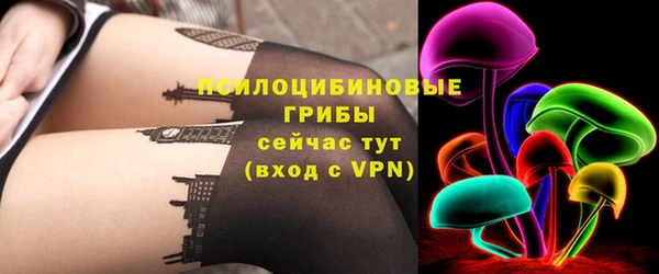 гашик Баксан
