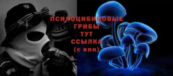 гашик Баксан