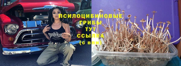 тгк Балабаново