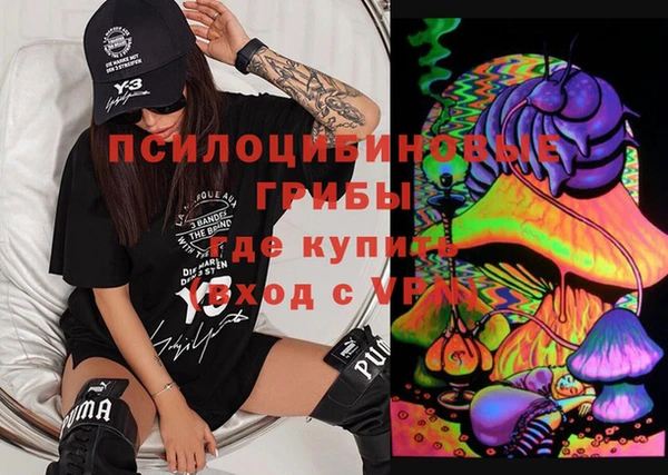 гашик Баксан
